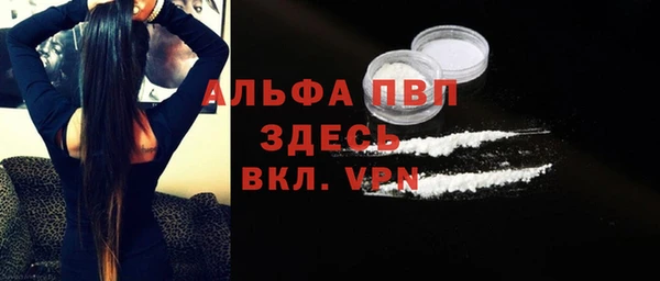 прущие грибы Горно-Алтайск