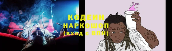 прущие грибы Горно-Алтайск