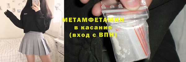 прущие грибы Горно-Алтайск