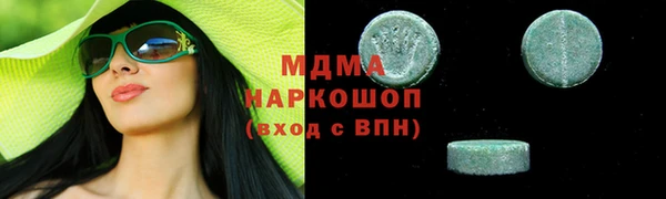 прущие грибы Горно-Алтайск