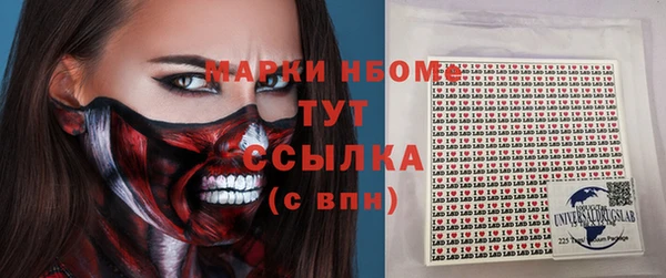 прущие грибы Горно-Алтайск