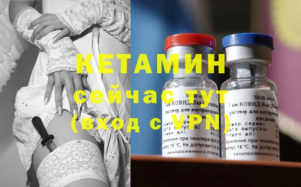 прущие грибы Горно-Алтайск