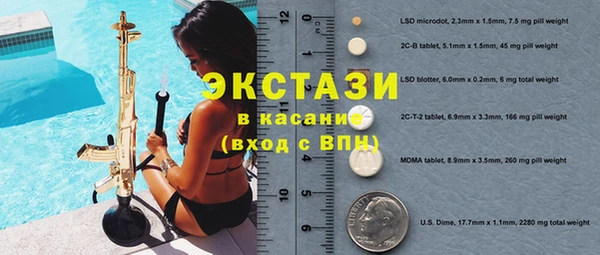 прущие грибы Горно-Алтайск
