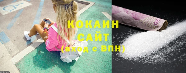 прущие грибы Горно-Алтайск