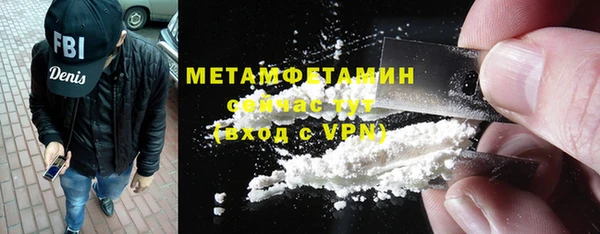 прущие грибы Горно-Алтайск