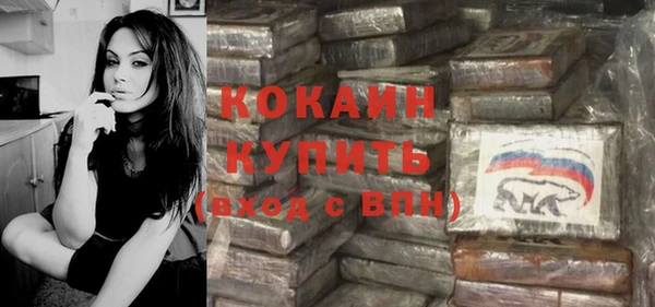 прущие грибы Горно-Алтайск